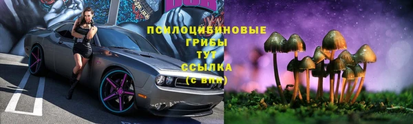 молекула духа Бугульма
