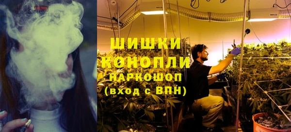 гидропоника Бородино
