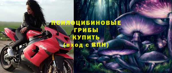 гидропоника Бородино