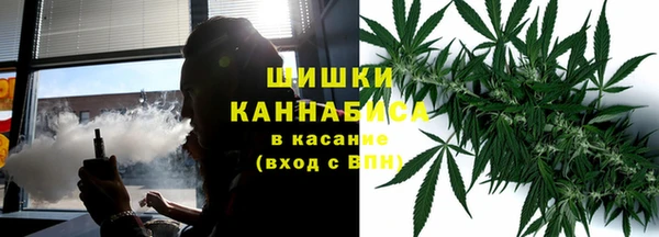 молекула духа Бугульма