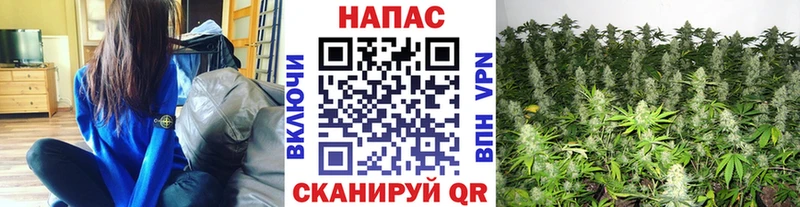 Бошки Шишки White Widow  Купить  Всеволожск 